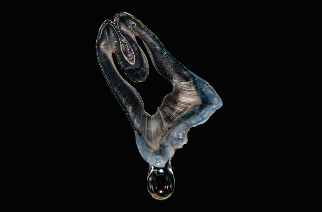 shutterstock_1772298014_WEB